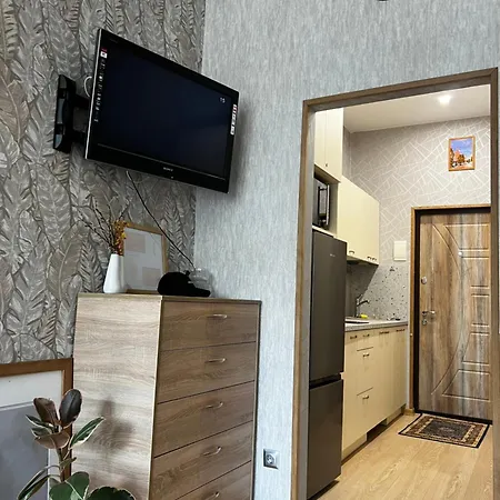 Daukanto Centre With Balcony Apartamento *