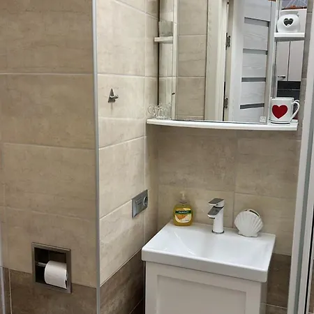 Daukanto Centre With Balcony Apartament *