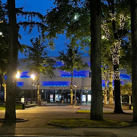 Daukanto Centre With Balcony *